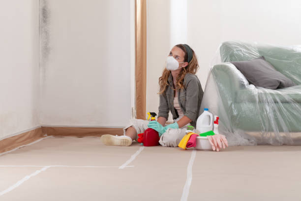 Reliable Mold Remediation contractor in Massachusetts, MA by Car Mold Remediation